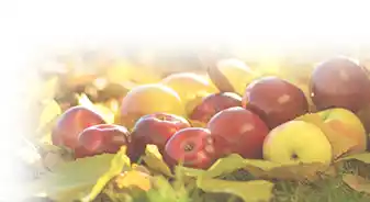Sistemas de envasado y control para la seguridad alimentaria